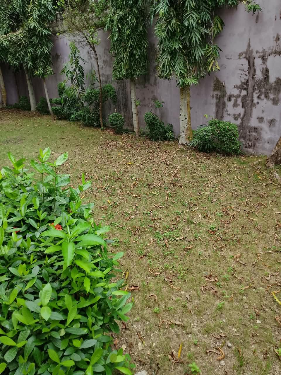 WhatsApp Image 2026-10-08 at 10.53.44