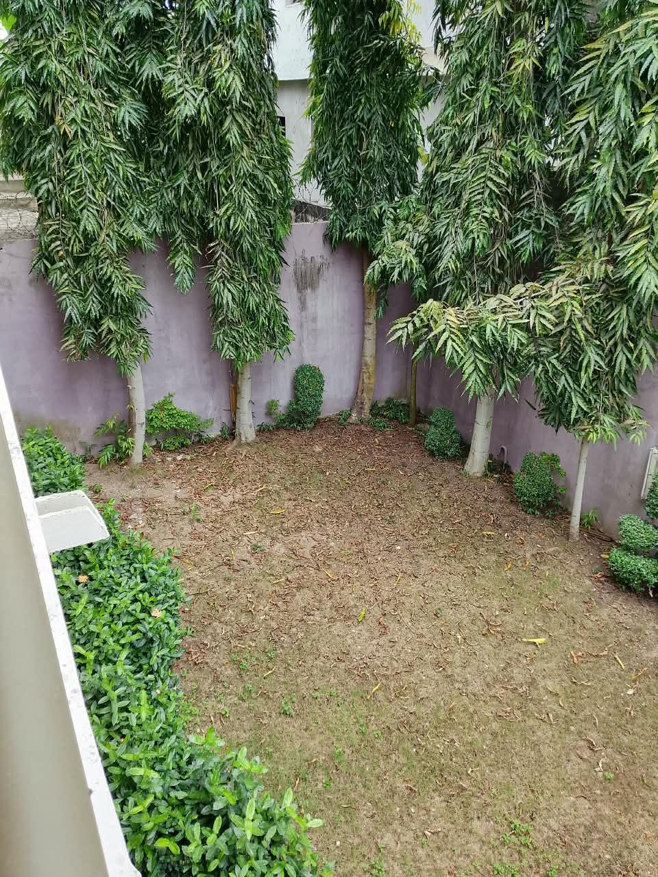 WhatsApp Image 2026-10-08 at 10.54.02